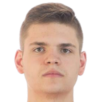 B.范德武斯特